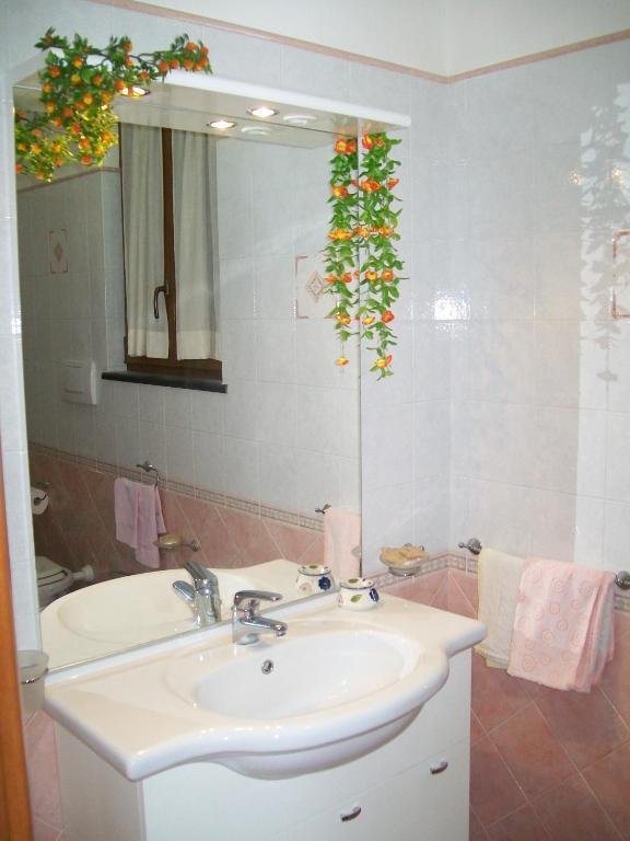 Il Mulino